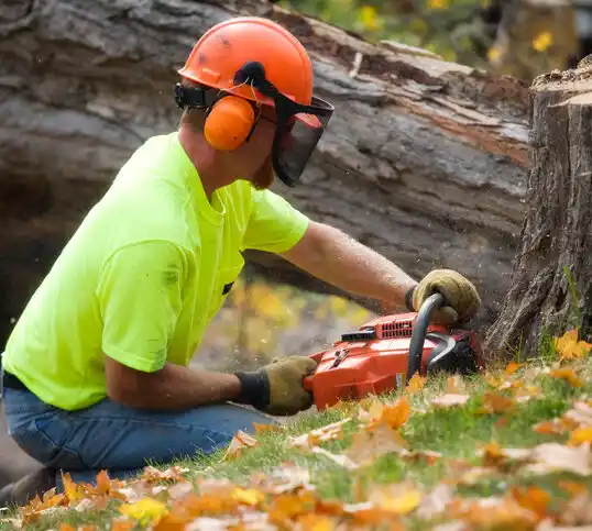 tree services Luna Pier